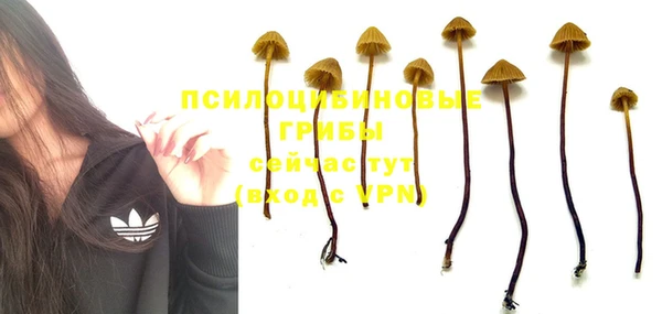 прущие крисы Арсеньев