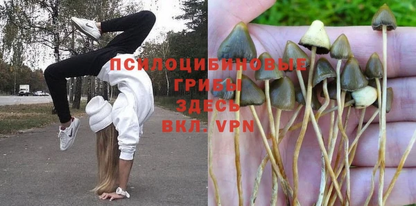 прущие крисы Арсеньев