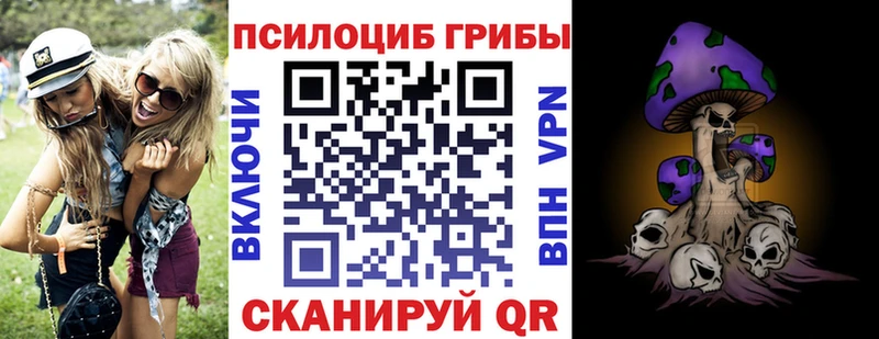 hydra   хочу наркоту  Шумиха  Псилоцибиновые грибы мухоморы 